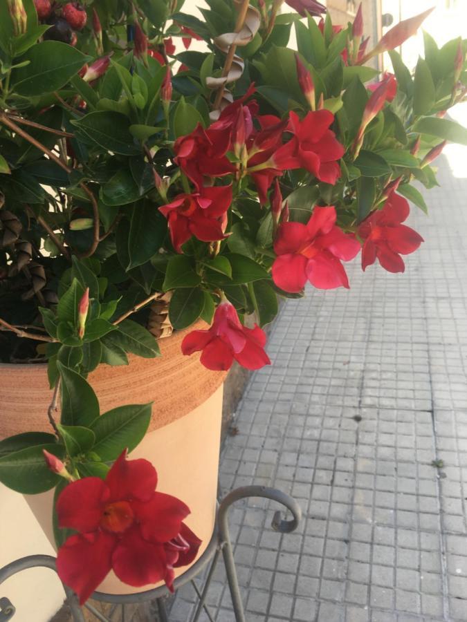 Carrer Dels Horts Apartment Алгеро Екстериор снимка