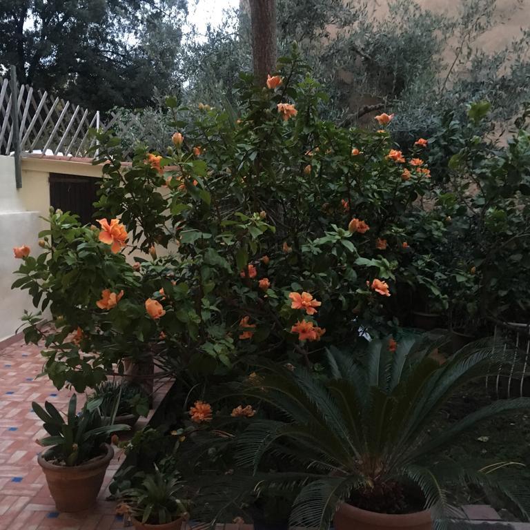 Carrer Dels Horts Apartment Алгеро Екстериор снимка